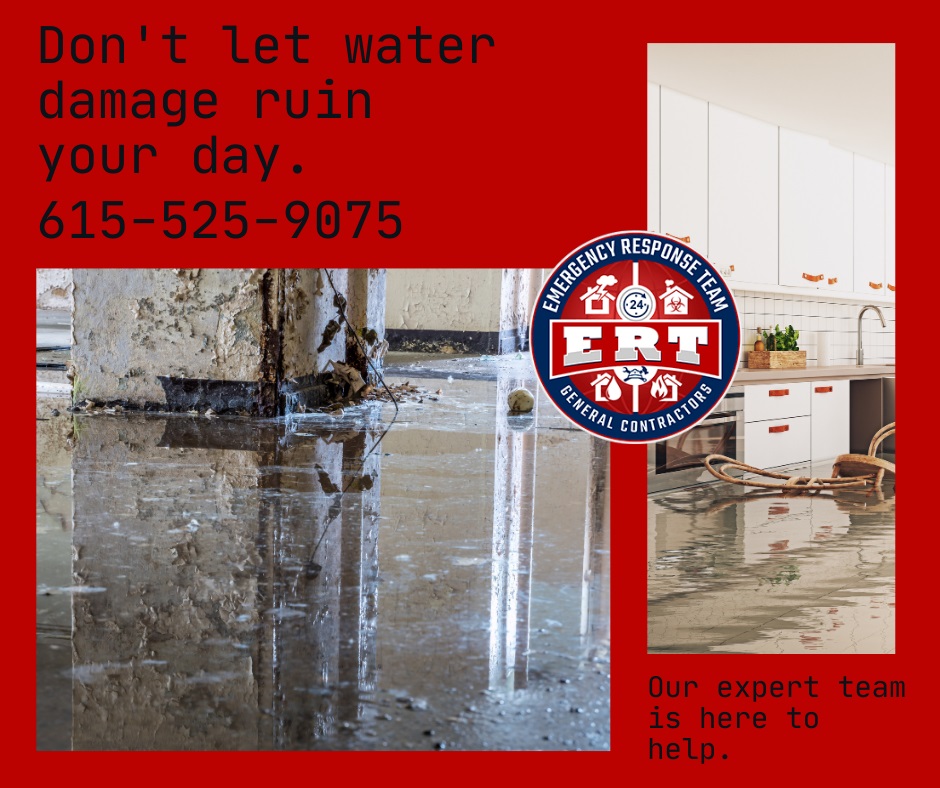 expertwaterdamagecleanup